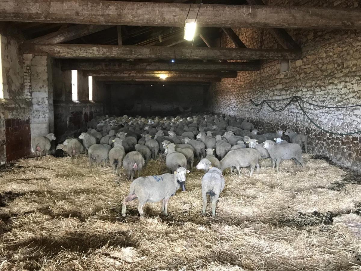Studio A La Ferme Arles Exterior foto